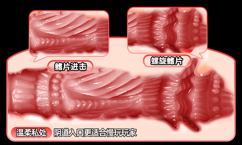8cd59c1d-4812-4843-a218-6448f905b5cc