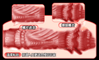 8cd59c1d-4812-4843-a218-6448f905b5cc