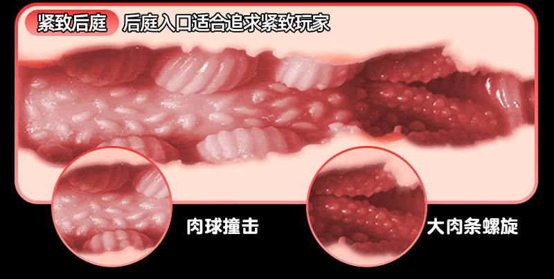 98e4c410-5e76-4258-b842-248bf274f7a9